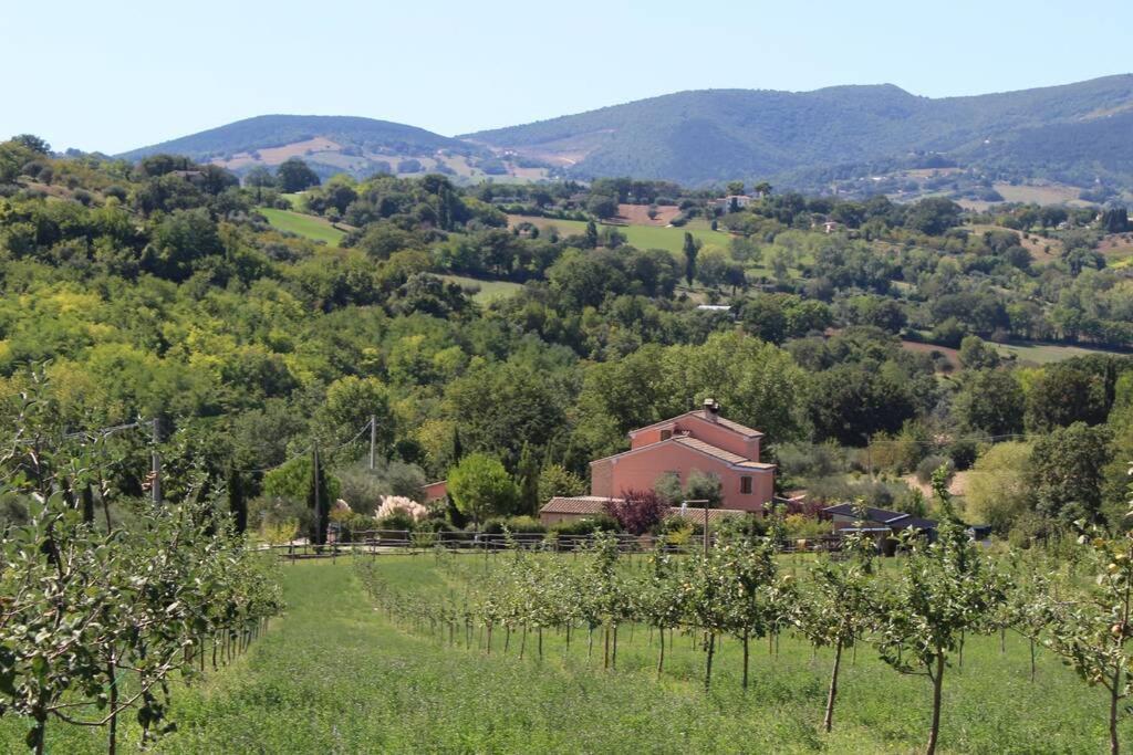 Casa Kikenda, Viaggio Nella Natura Treia ภายนอก รูปภาพ