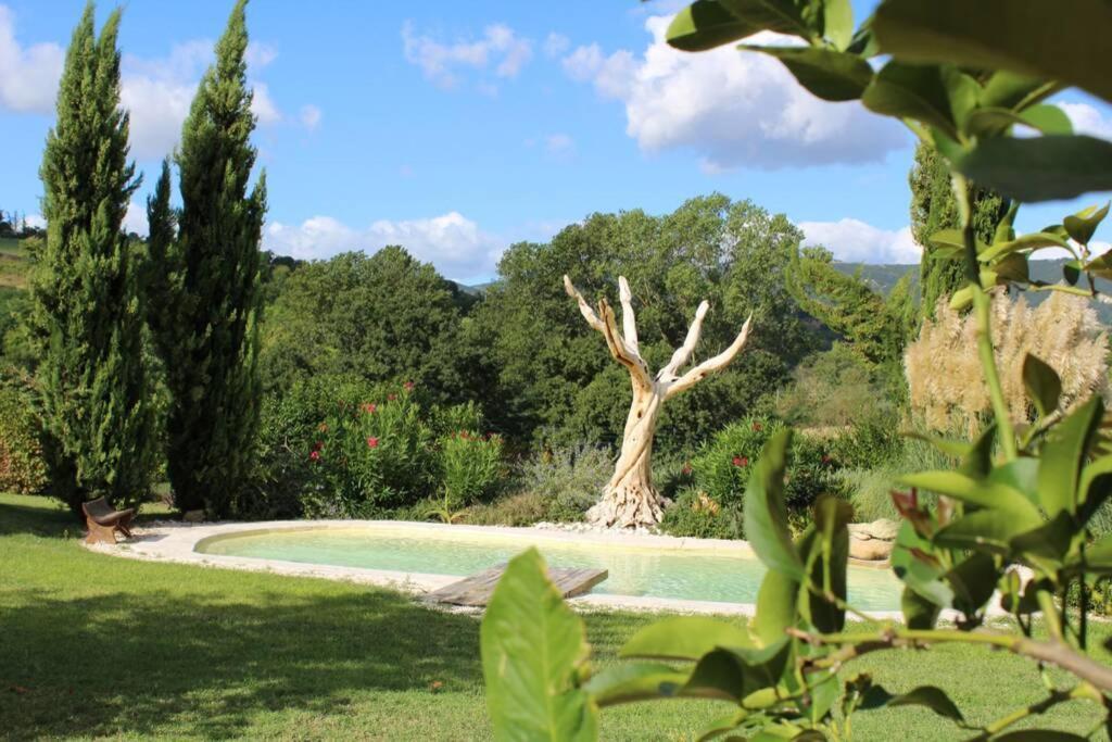 Casa Kikenda, Viaggio Nella Natura Treia ภายนอก รูปภาพ