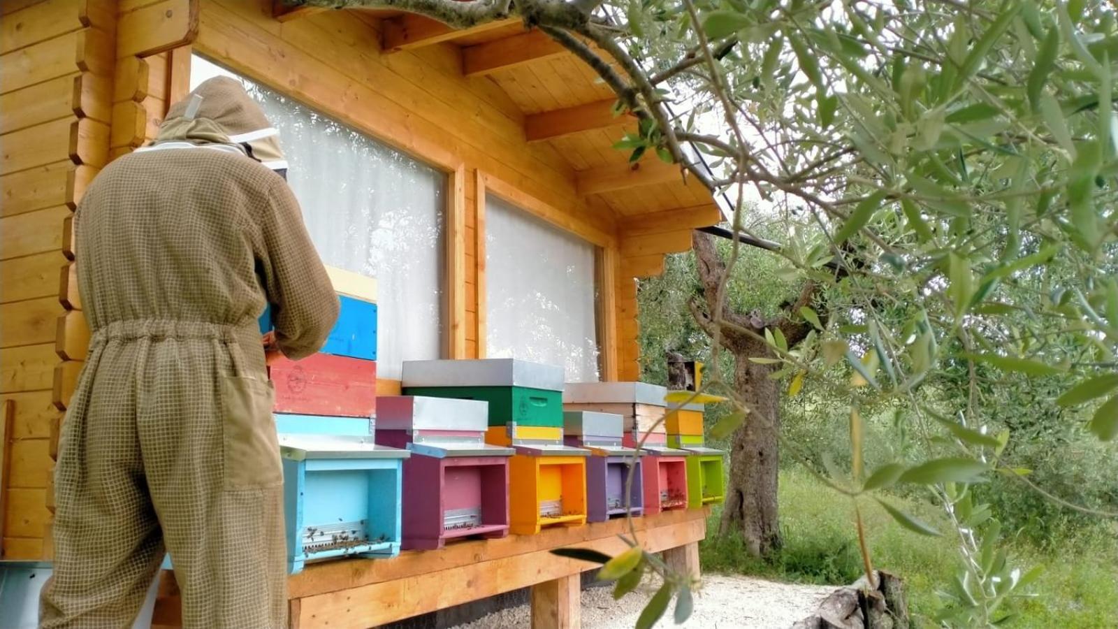 Casa Kikenda, Viaggio Nella Natura Treia ภายนอก รูปภาพ